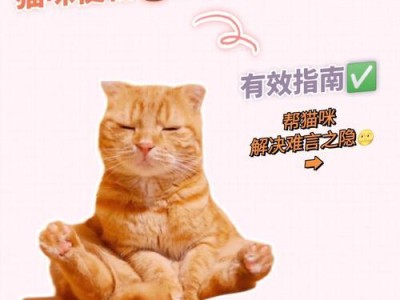 猫咪便秘拉血，这可能是什么问题？（猫咪的肠胃问题解析，如何帮助它恢复健康）