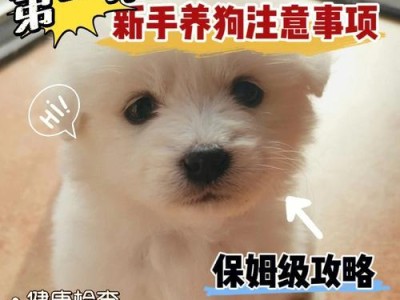养狗经验与技巧（以狗养殖注意事项及养犬常见问题解答）