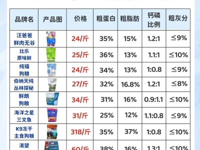 适合新手养狗的品种盘点（选择合适的狗狗，从容享受养宠之乐）