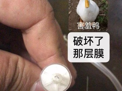 探讨以猫的自发性膀胱炎的抗生素使用（了解抗生素治疗自发性膀胱炎的效果及注意事项）