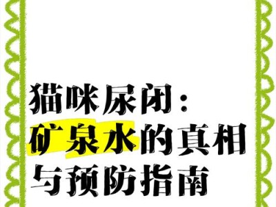 猫能憋多久的水？（探究猫咪对水的需求与憋水能力）