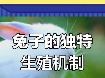 兔子的妊娠期和产仔过程（探究兔子的繁殖特点和生育过程）