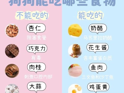 被狗咬了，哪些东西能吃？（保持冷静，这些食物能帮助你恢复健康）