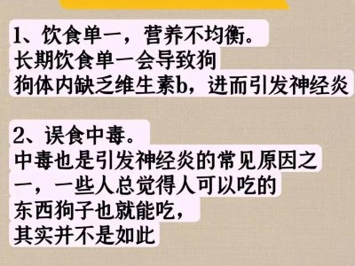 探秘狗狗长寿的奥秘（为什么有些狗能活到20岁？狗狗长寿的方法有哪些？）