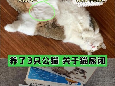 猫猫尿路感染应用药治疗的指南（药物治疗是解决猫猫尿路感染的关键）