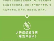 幼犬断奶打疫苗的重要性（保障幼犬健康成长，及时预防疾病）