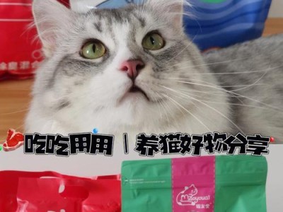 宠物猫价格大全（全面盘点各类猫咪价格，助您做出明智选择）