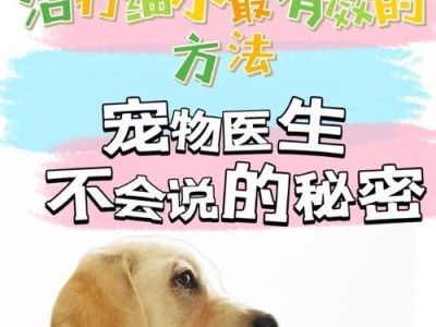 犬瘟细小后的病毒潜伏期究竟有多久？（揭秘犬瘟细小后的病毒持续存在时间，保护宠物的关键知识）