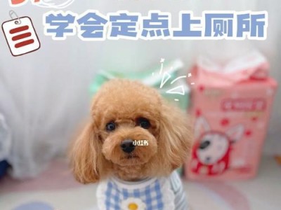 狗狗憋尿的时间是多久？（探索狗狗排尿习惯的奥秘）
