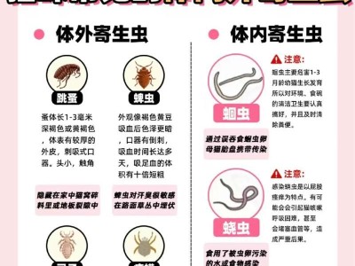 成犬驱虫周期的科学选择（合理安排成犬驱虫时间，宠物健康有保障）
