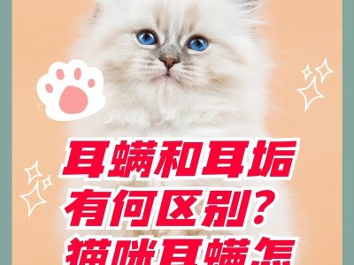 猫咪耳螨的治疗周期及方法（耐心和正确治疗是关键，关注猫咪耳朵健康）