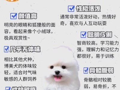 博美毛发护理与剪裁频率（打造优雅造型，宠爱博美毛发的秘密）