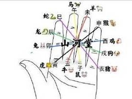 《“过街老鼠”为何能选进十二生肖？》（揭秘十二生肖中的奇特之选，你不可不知！）