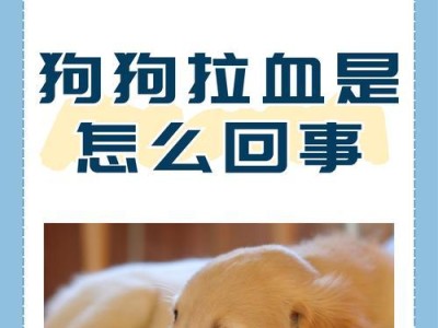 狗狗吃完东西多久拉屎的时间表（探寻狗狗的消化速度与排便习惯）