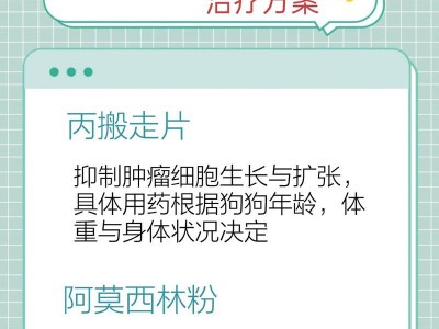 四岁小狗的药物选择（为您的小狗选择最合适的药物，让它健康成长）