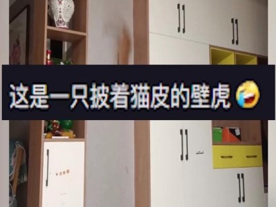 猫能被关在冰箱里多久？（解密猫咪在冰箱中的逗留时间和注意事项）