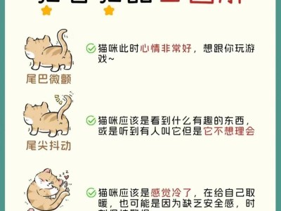 猫的行为（解读猫的姿态、声音和习性，洞悉内心世界）