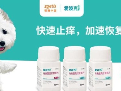 狗狗皮肤病的治疗药物及注意事项（了解狗狗皮肤病治疗药物的选择和使用，让你的宠物快乐健康！）