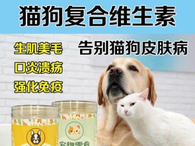 狗狗身上皮屑多的原因及解决方法（了解原因找到解决办法关爱宠物）