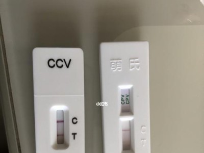 萨摩耶细小测试需要多长时间？（详解萨摩耶细小测试的时长和流程）