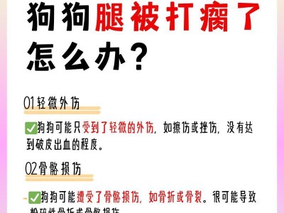 狗狗瘸了多久才好？——（了解狗狗的瘸腿情况，及时给予适当的治疗）
