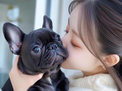 法斗犬为何逐渐失去受欢迎度？（主人心声）