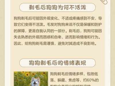 泰迪剃毛需要多长时间？（了解泰迪剃毛所需的时间和步骤）