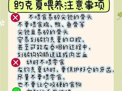 揭秘约克夏饲养的5个常见健康误区（为你的约克夏宠物提供更好的护理，这5个误区你可能不知道）