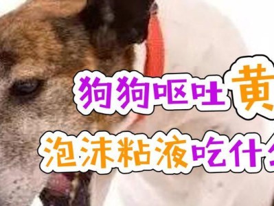 狗狗频繁呕吐的原因及处理方法（探究狗狗呕吐的原因，给予正确的护理和治疗）