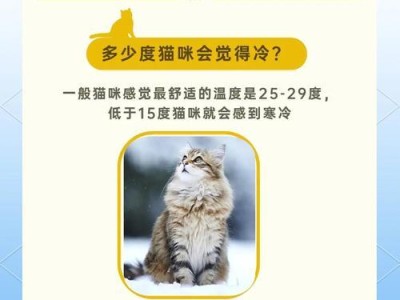家猫洗澡之频率与技巧（掌握猫咪洗澡的最佳时机和正确方法）