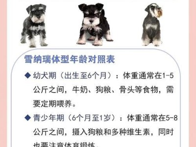 探秘雪纳瑞胡子的生长周期（解密雪纳瑞胡子生长的时间和关键因素）