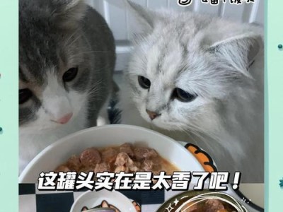 幼猫吃罐头的频率对健康的影响（探索适合幼猫的罐头喂养频率，关注）
