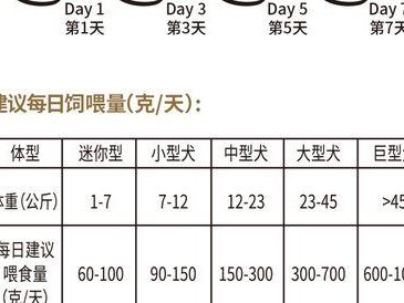 博美狗的日常饮食需求（如何合理喂养你的博美宝宝，成年后又该如何？）