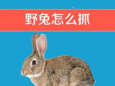 以什么补野兔？——探讨野兔饮食需求与可选食物（解析野兔的食性和补充营养的有效方法）