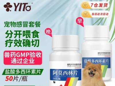 狗受伤擦什么药最好？（选择合适的药物保护你的爱犬）