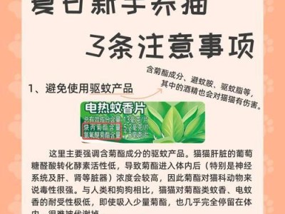 养龙猫须知（为了龙猫的健康和幸福，新手必须了解的15个养龙猫要点）