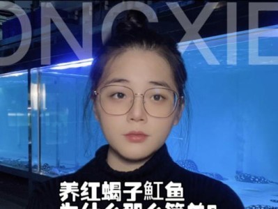 虹鱼的成长周期及养殖技巧（探秘虹鱼的成年时刻，全面解析养殖关键）