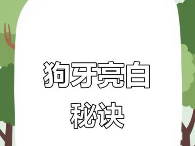 狗狗牙齿发育的时机与注意事项（宝贝狗狗的牙齿发育与保健指南）