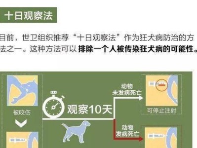 狗狗打狂犬疫苗的时间间隔及注意事项（保护宠物健康，定期接种狂犬疫苗）