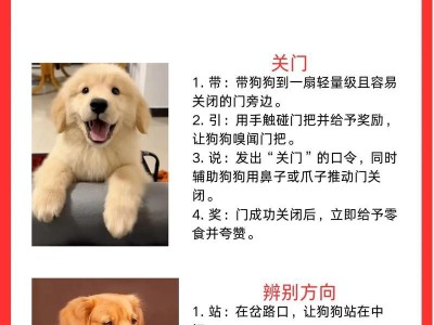 科学饲养方法促进藏獒快速生长（掌握关键要素，让藏獒健康成长）