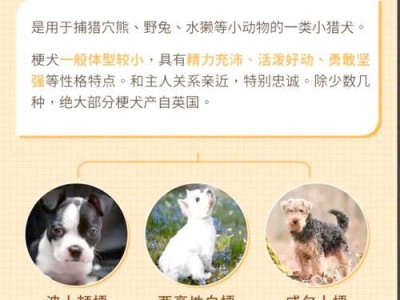 小猎犬的特点与魅力（活泼可爱、适合家庭、耐力强、易训练）