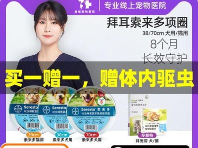 养猫必备（了解猫体外驱虫频率，宠物健康始于日常细节）