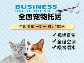宠物快递（了解快递宠物托运的价格和注意事项）