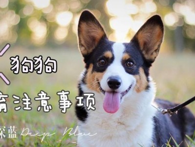 狗狗绝育手术（探讨狗狗绝育手术的必要性和安全性）