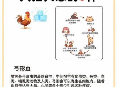 猫咪疾病传染给人，你需要了解的知识（了解猫咪疾病传染给人的关键因素及预防方法）