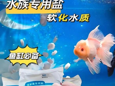 鱼缸鱼盐水的持久性研究（探索鱼缸鱼盐水能够持续使用的时长和关键要素）
