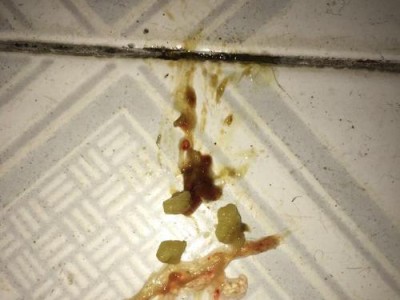 小狗疫苗（了解小狗疫苗的前两针，让你的小狗健康成长）