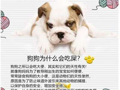 揭秘狗狗吃屎的原因及应对方法（为什么狗狗喜欢吃屎？如何解决狗狗吃屎的问题？）