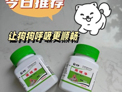 家中常备这几种药，狗狗生病不慌张（宠物健康照护，药品备足放心忙）