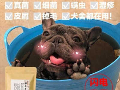 皮肤病防范手册——助你的爱犬远离疾病（15个重要要点，助力你护理爱宠健康）